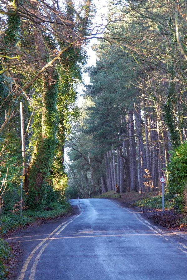 Formby Pinewood Studio Bed & Breakfast Exterior photo